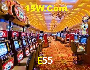 E55