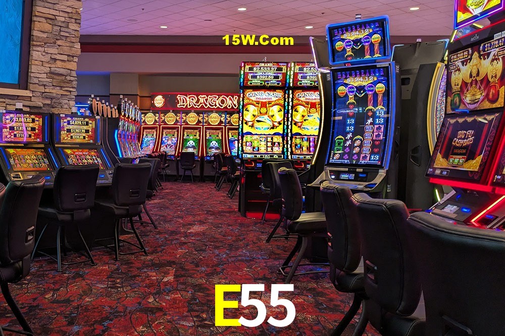 Flash Promotion E55