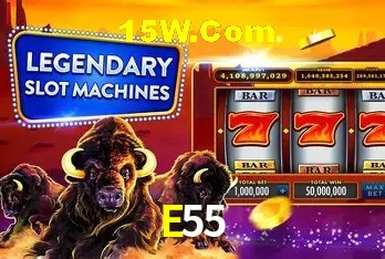E55,E55.Com