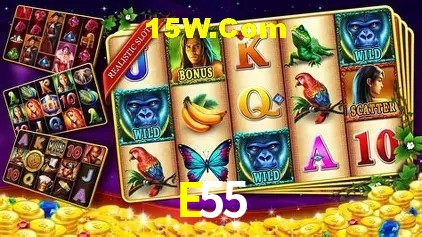E55