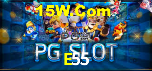 Programa VIP E55