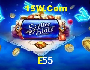 E55,E55.Com
