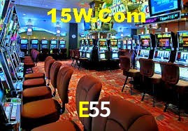 Secure Login E55