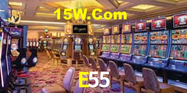 E55,E55.Com