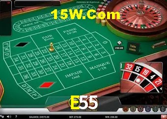 Design Responsivo E55