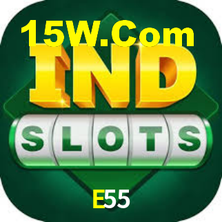 E55 App Interface
